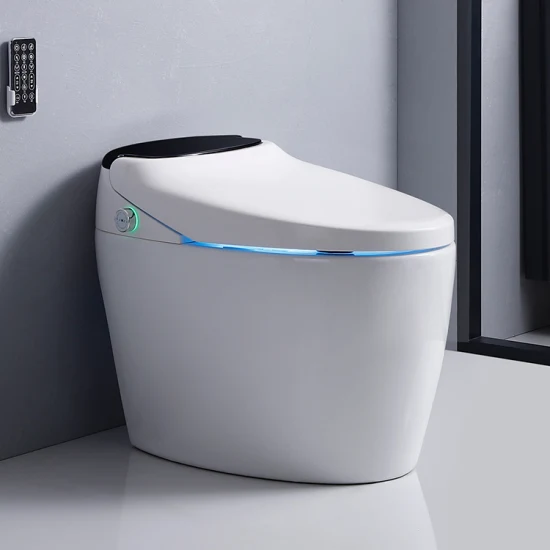 Chaozhou Sanitaires 110 V/220 V Porcelaine Automatique Capteur De Salle De Bains Européen Chasse D'eau Automatique Cuvette De Toilette Intelligente Toilettes Intelligentes avec Siège De Toilette